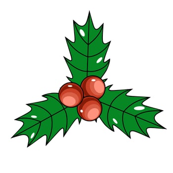 Holly leaves with berries Christmas decoration vector