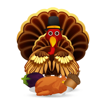 Turkey bird with elements png