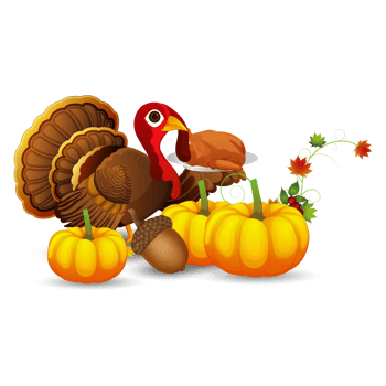 Turkey bird character and pumpkin png