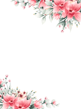 Watercolor pink flower frame png