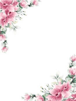 Watercolor pink flower frame png