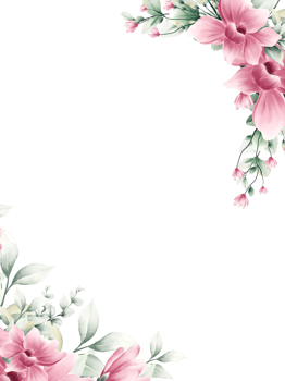 Watercolor pink flower frame png