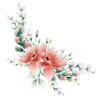 Bouquet of flowers Watercolor png