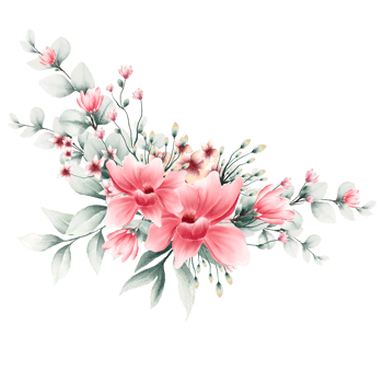 Bouquet of flowers Watercolor png
