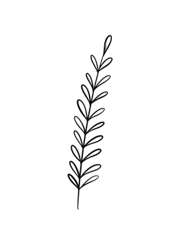 Wreath floral branch in hand drawn style png