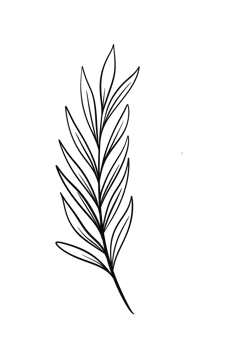 Wreath floral branch in hand drawn style png
