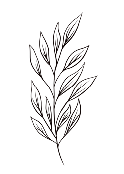 Wreath floral branch in hand drawn style png