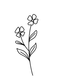 Wreath floral branch in hand drawn style png