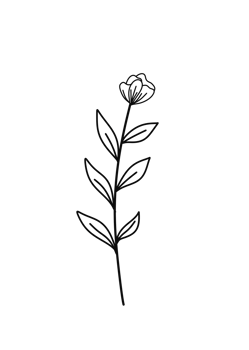 Wreath floral branch in hand drawn style png