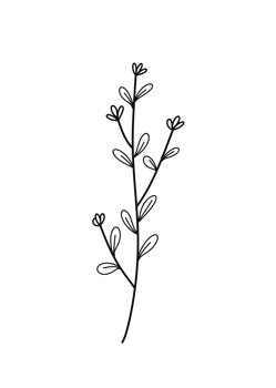 Wreath floral branch in hand drawn style png