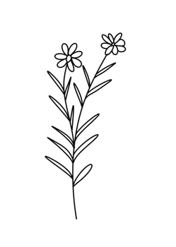 Wreath floral branch in hand drawn style png