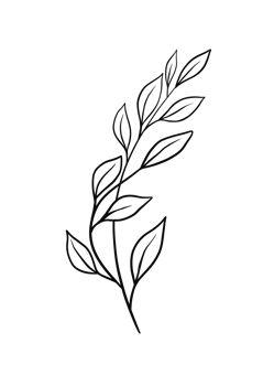 Wreath floral branch in hand drawn style png