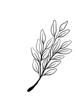 Wreath floral branch in hand drawn style png