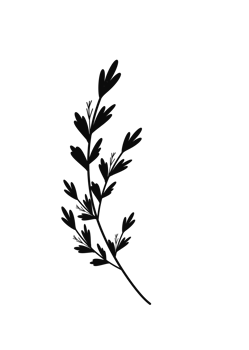 Wreath floral branch in hand drawn style png