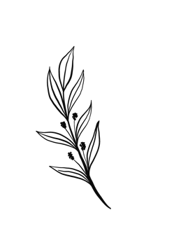 Wreath floral branch in hand drawn style png