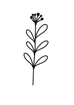 Wreath floral branch in hand drawn style png