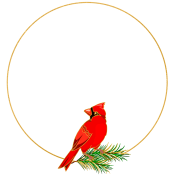 golden round frame with red cardinal, christmas illustration png