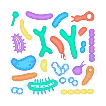 Microbiome illustration of bacteria. Vector image. Gastroenterologist. Bifidobacteria, lactobacilli. Lactic acid bacteria. Illustration in a flat style.