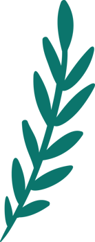 Branch. Isolated illustration. png