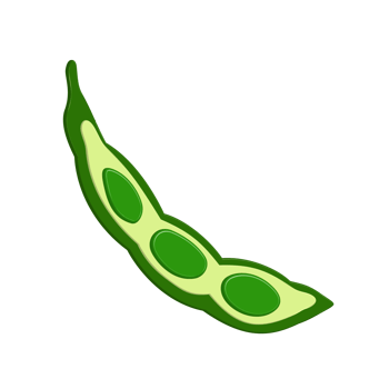 Edamame bean seed png