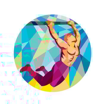 Crossfit Pull Up Bar Circle Low Polygon vector