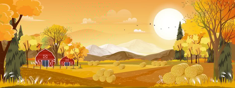 Vector Autumn panorama landscape farm field with orange sky, Beautiful sunset in Autumn countryside panorama view with yellow foliage,Fall season with copy space for banner background