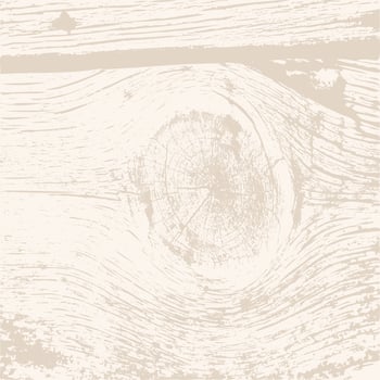 Wood texture. Abstract grunge wood pattern. Rustic banner. Vector illustration.