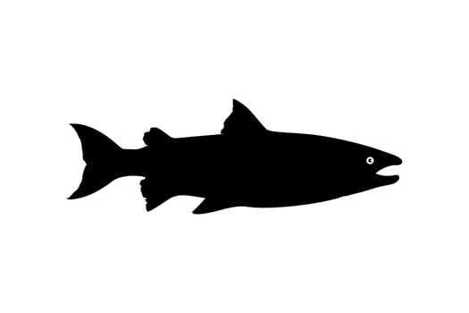 Salmon Fish Silhouette for Icon, Symbol, Logo, Pictogram, Apps, Website or Graphic Design Element. Vector Illustration