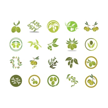 Olive logo images illustration vector
