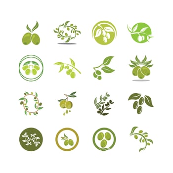 Olive logo images illustration vector