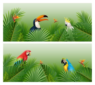 Tropical plants leaves banner with birds vector