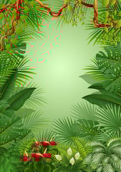 Vector illustration of Tropical jungle background