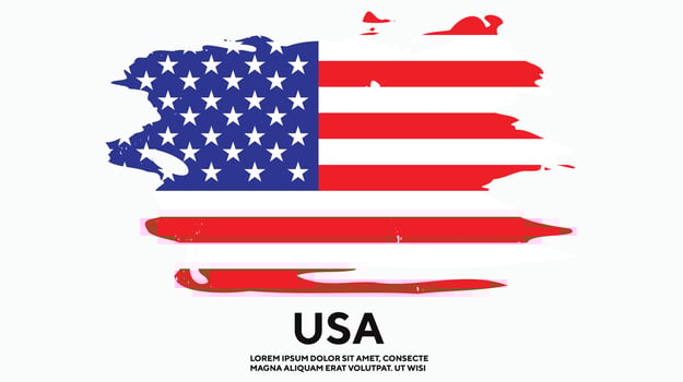 Professional faded American grunge flag design vector