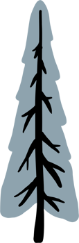 simplicity pine tree freehand drawing flat design. png