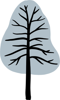 simplicity pine tree freehand drawing flat design. png
