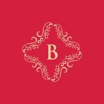 Letter B Ornament Luxury Creative Logo vector