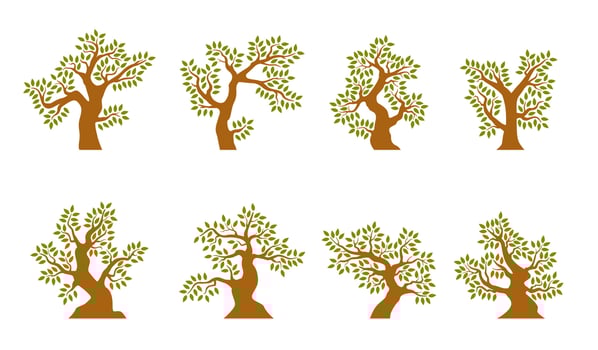 Set of Tree with leaves vector