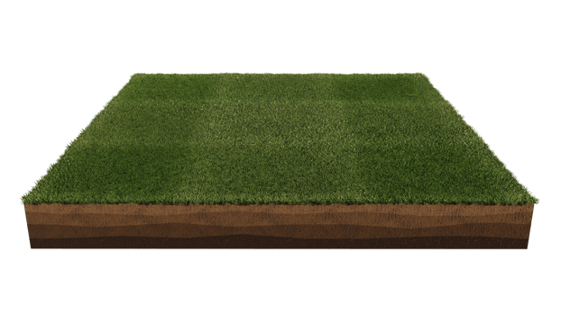 3d rendering image of grass field island on transparent background png
