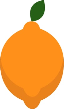Yellow lemon, illustration, vector on a white background.