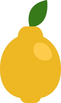 Lemon fruit, illustration, vector on a white background.