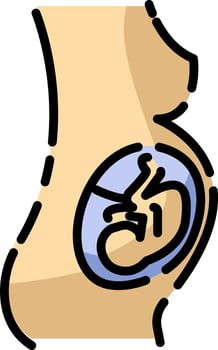 Female pregnancy, illustration, vector on a white background.