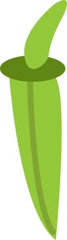 Green okra, illustration, vector, on a white background. vector