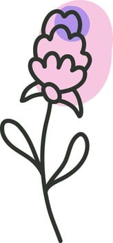 Violet flower, illustration, vector on a white background.