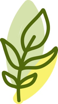 Beautiful leaves, illustration, vector on a white background.