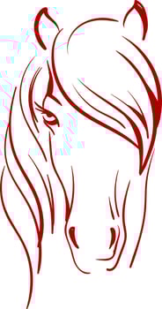 A silhouette of a horse, vector or color illustration.