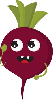A fresh radish vector or color illustration