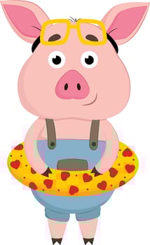 A cute summer pig, vector or color illustration.