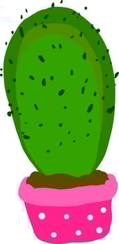 Big cactus in a pot, illustration, vector on white background.