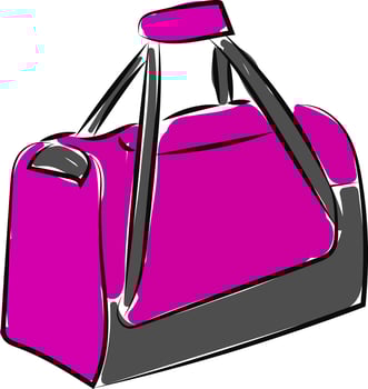 Pink sport bag, illustration, vector on white background.