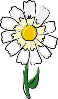 Simple daisy flower, illustration, vector on white background.